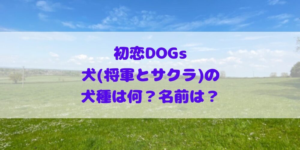 初恋dogs